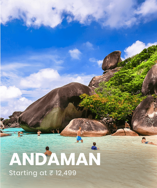 the-travel-square-packages-andaman