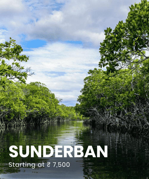 the-travel-square-packages-sunderban