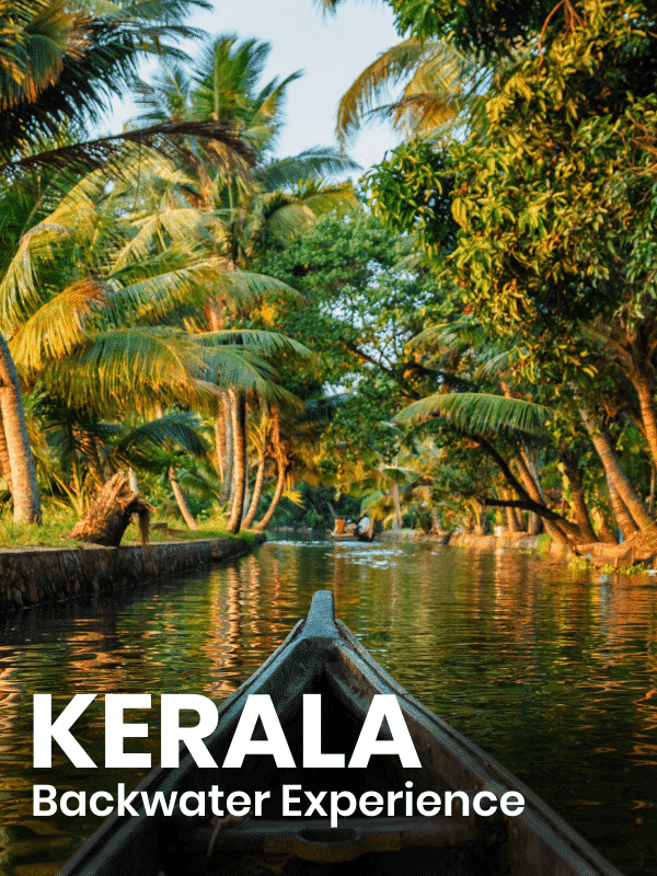 the-travel-square-packages-kerala