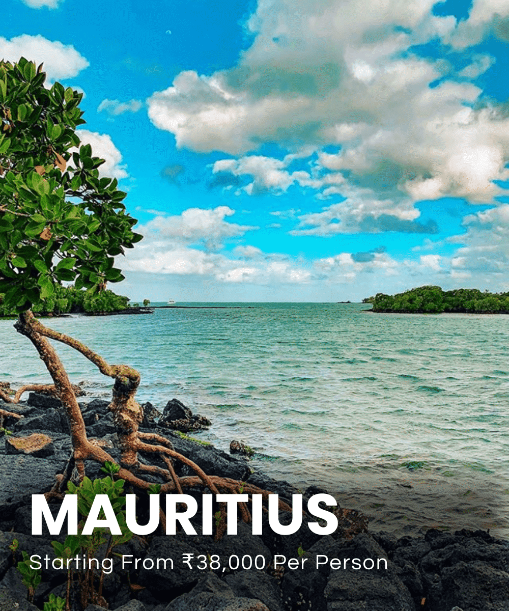 the-travel-square-packages-mauritius