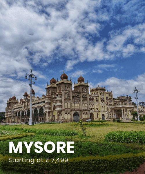 the-travel-square-packages-mysore